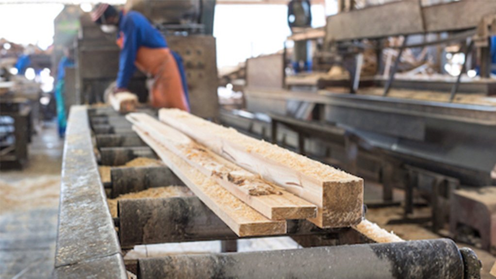 The sawmilling sector makes use of a renewable resource that can be treated to perform better than most construction materials. Credit: Ludwig Sevenster/Forestry Explained