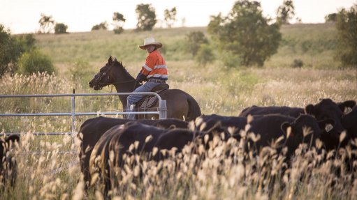 Queensland's New Acland coal mine faces new appeal 