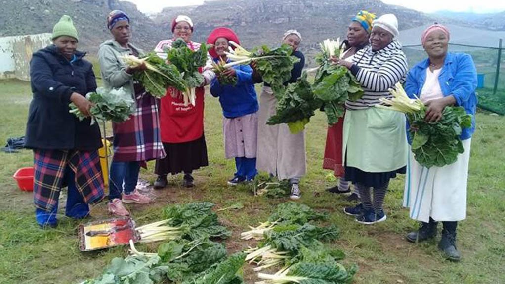 SA corporates boost community food gardens