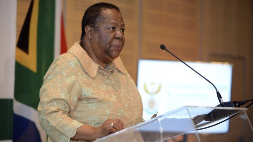 Naledi Pandor views chief justice's comments on Israel with 'great dismay'