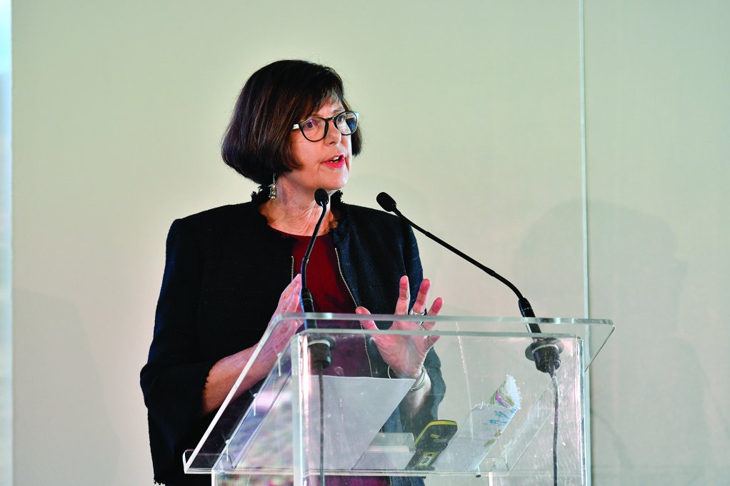 Barbara Creecy This is an experiment to see whether we can generate a renewables industry in areas where we can begin the process of a just transition