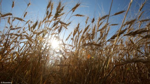 Glencore’s crop unit rebrands as Viterra, stirring spinoff speculation 