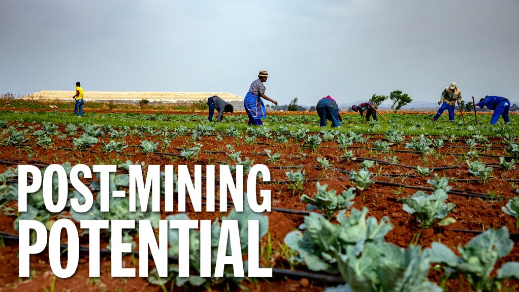 Repurposing of mining land could help create farming jobs at scale