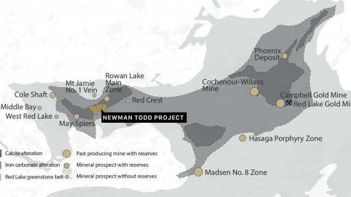 Trillium encouraged by initial Newman Todd drill intersections