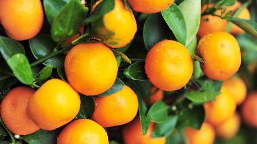 New technology from Agri Technovation assists citrus farmers