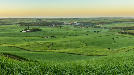 A NEW HORIZON
The sugar master plan seeks to create a diversified and globally competitive, sustainable and transformed sugarcane-based value chain