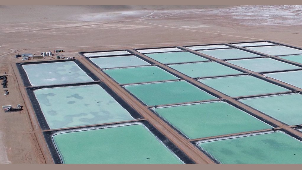 Sal de Vida lithium/potash project, Argentina