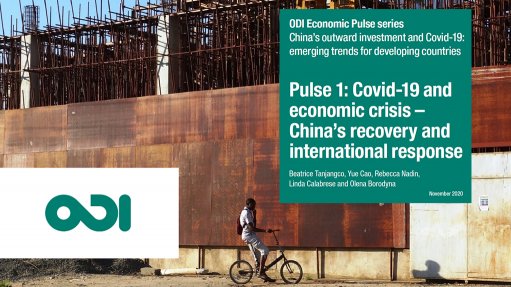 Economic Pulse 1: Covid-19 and economic crisis – China’s recovery and international response