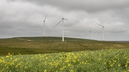 Excelsior Wind farm