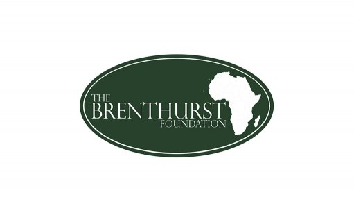 Appointment of senior researchers bolsters Brenthurst Foundation research capacity 