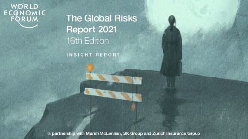  The Global Risks Report 2021 