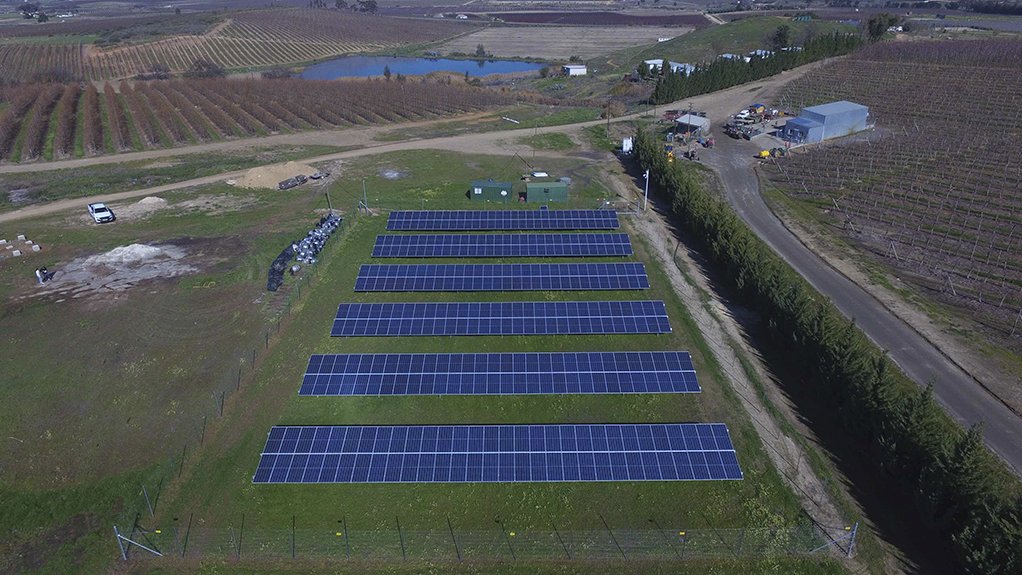 Solar farm at the El Cuesta Farming operation in Ceres