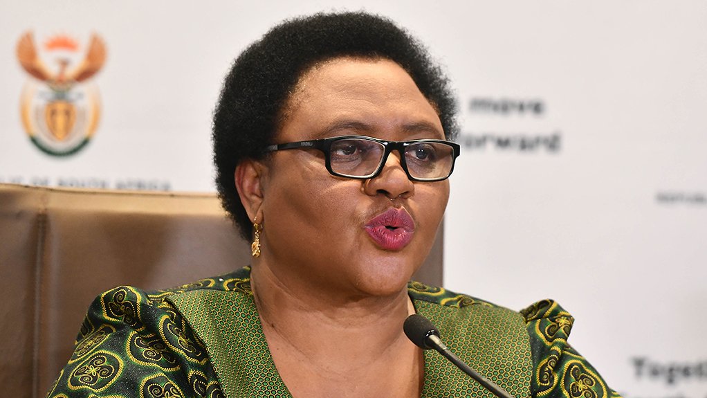 Minister of Agriculture, Land Reform and Rural Development Thoko Didiza