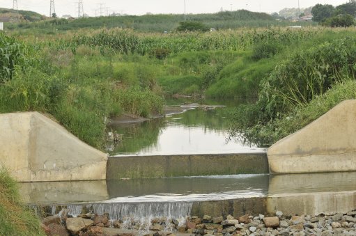 Sibanye highlights importance of wetland preservation