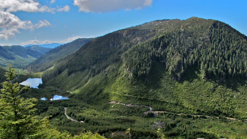 North Island attractive at start of new super cycle, says Northisle CEO