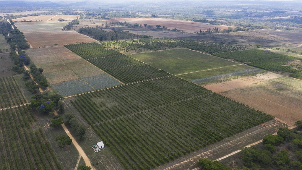 GROWING STRONG Agriculture, forestry and fishing industry was the only positive contributor to GDP growth in the second quarter of 2020, growing by 15.1%, while the South African economy declined by 51% quarter-on-quarter.