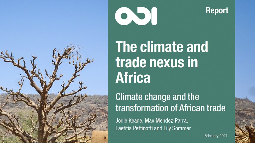 The climate and trade nexus in Africa