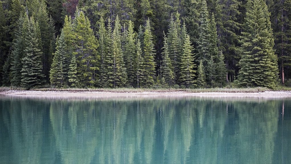 IFS’S next evolutionary step towards evergreen enterprise software