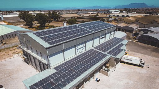 Bulk dough manufacturer commissions solar plant to lower costs, drive sustainability