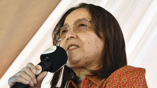 'Not fit for purpose': Patricia de Lille explains why Beitbridge border fence won't be repaired