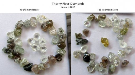 Thorny River diamond dyke project, South Africa – update