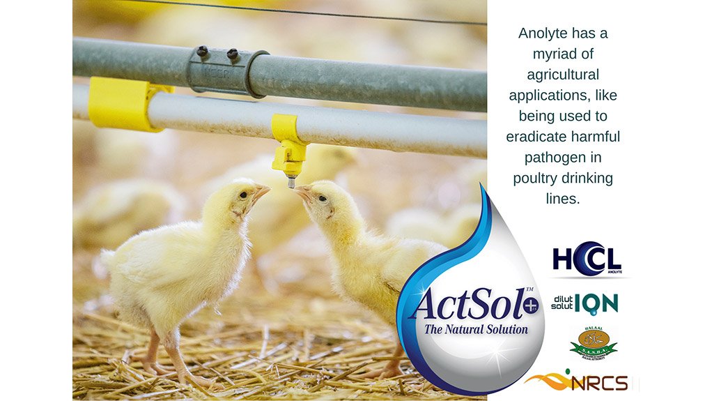 The Anolyte Company (TAC)