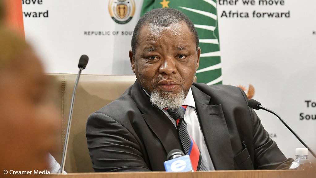 Mineral Resources and Energy Minister Gwede Mantashe 