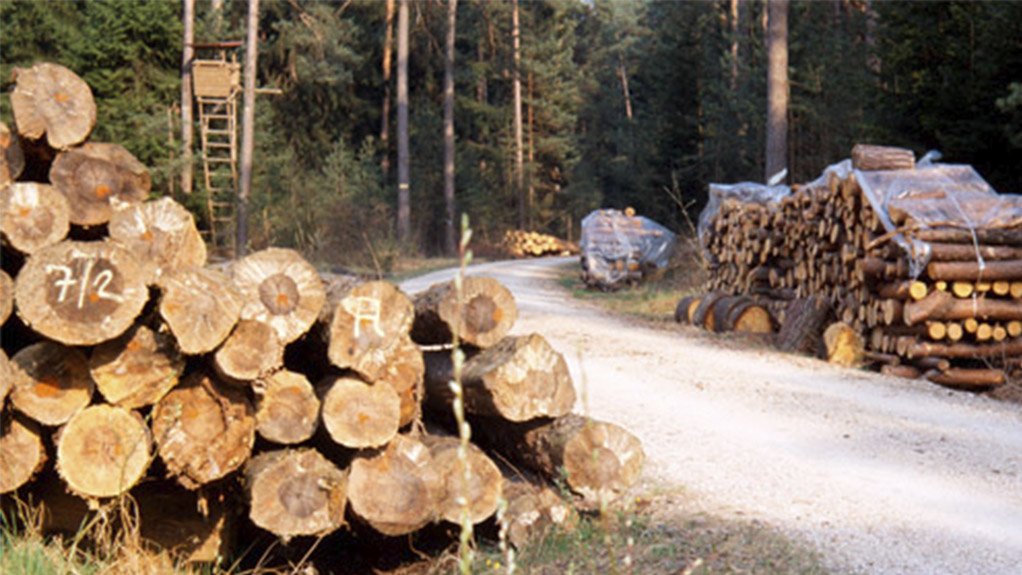 WOOD REDUCES CARBON OMMISIONS
Carbon dioxide is removed from our atmosphere by wood plantations during their rotations of seven to 20 years. 
