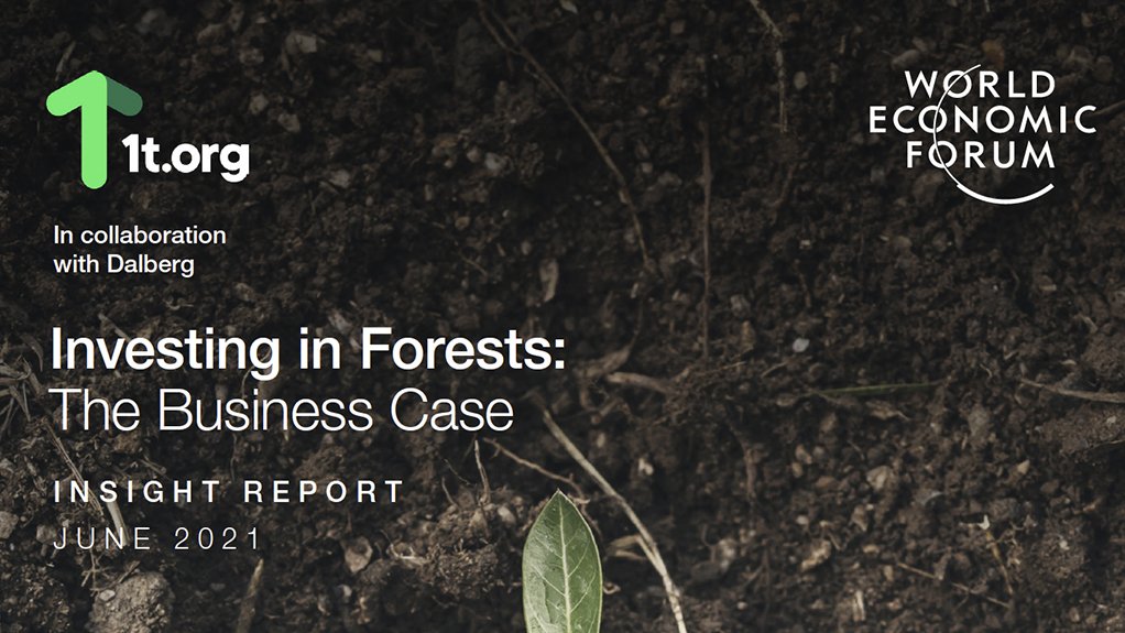 Investing in Forests: The Business Case 