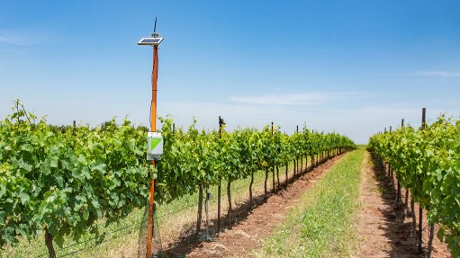 Smart irrigation tech grows presence in South African market 