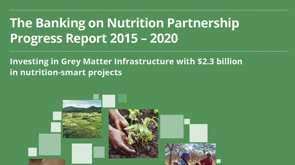 The Banking on Nutrition Partnership Progress Report 2015 – 2020