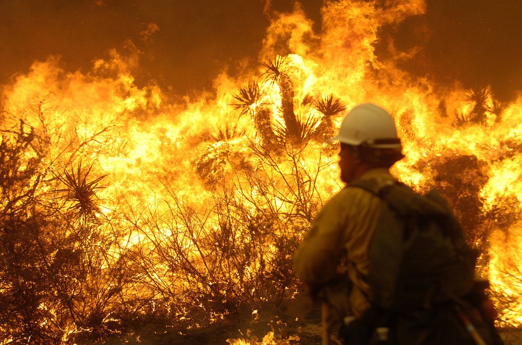 DA welcomes release of summary report into Table Mountain fire 