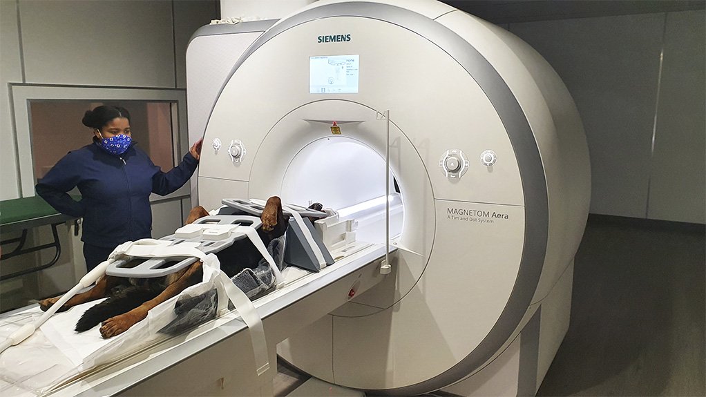 An image of an MRI scanner acquired by the Onderstepoort Veterinary Academic Hospital