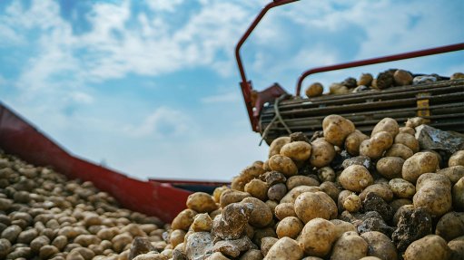 Potatoes South Africa, McCain warn of looming potato dumping threat 