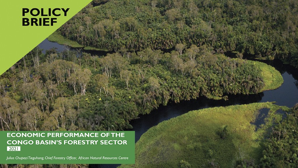 Economic performance of the Congo Basin’s forestry sector