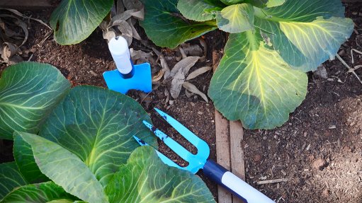 gardening tools in garden soil among vegetation 