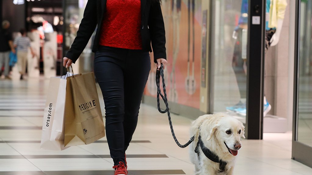 Pic of a Dog in one of EPP's shopping centres.