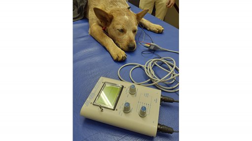 An image of a dog's hearing being tested using the UFI BAERCOM device acquired by the Onderstepoort Veterinary Academic Hospital.