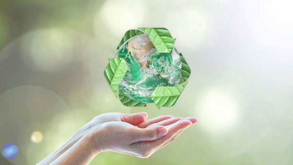 Waste Management, Recycling & The Circular Economy
