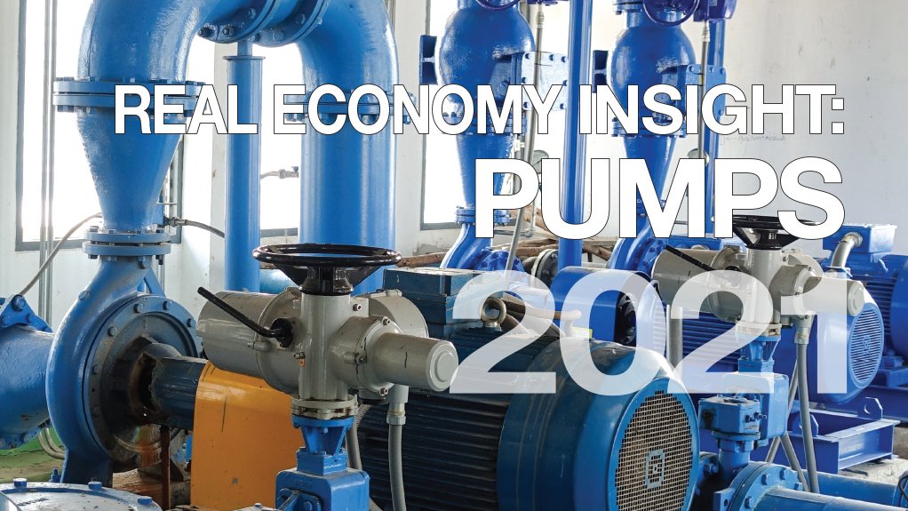 Real Economy Insight 2021 cover image for Pumps