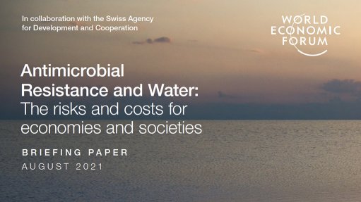  The costs and risks of AMR water pollution 