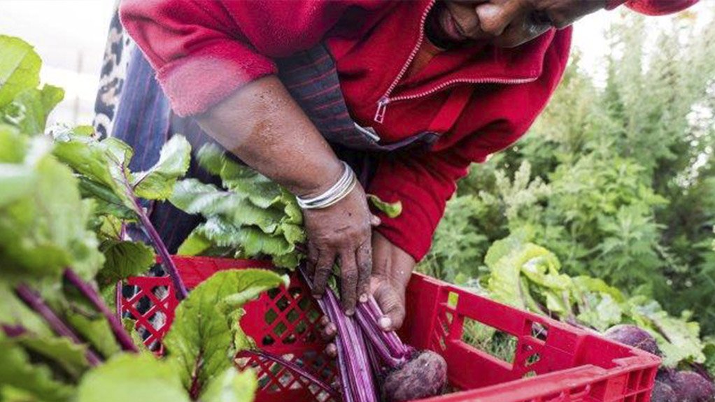 Zutari co-creates community solutions in Soweto