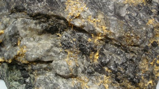 Image shows visible gold in ore 