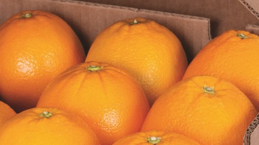 A photo of a box of oranges