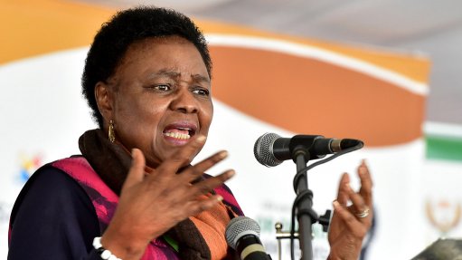 Deputy Minister in the Presidency Hlengiwe Mkhize has died