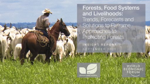  Forests, Food Systems, and Livelihoods: Trends, Forecasts, and Solutions to Reframe Approaches to Protecting Forests
