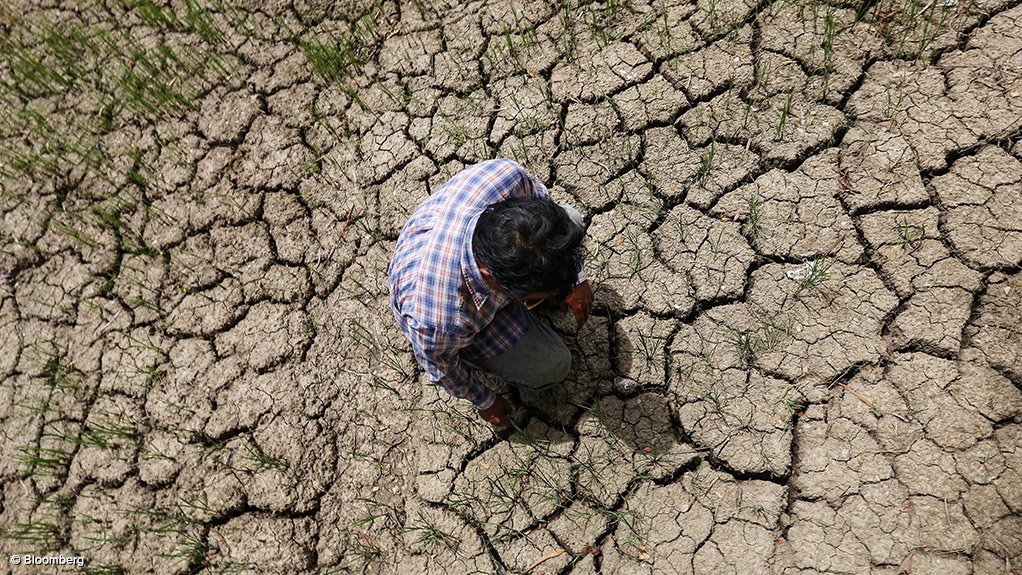 Photo of man standing on dry earth