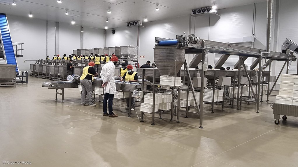 Marquis Macadamias Africa factory based in Alkmaar