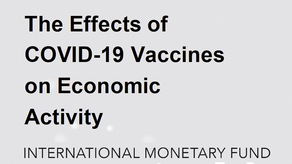 The Effects of COVID-19 Vaccines on Economic Activity