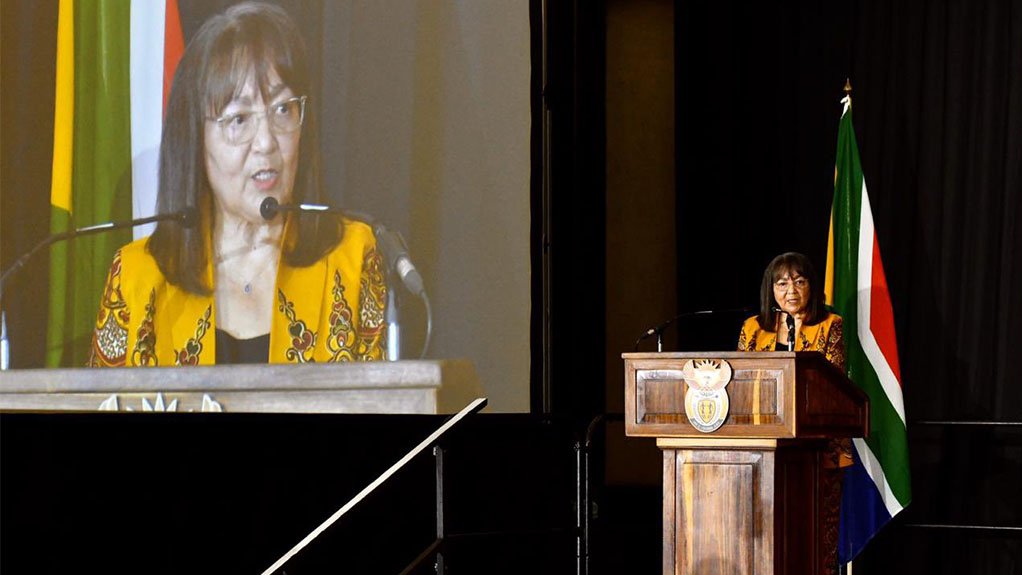 An image of Public Works and Infrastructure Minister Patricia de Lille